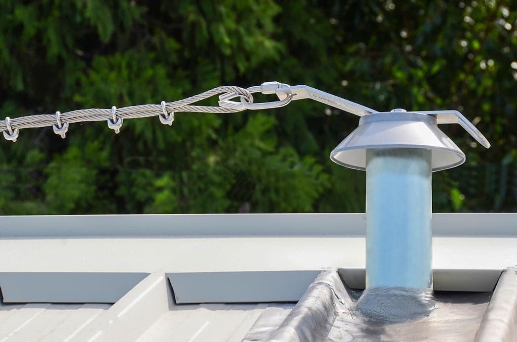 ¿Lo sabe todo sobre nuestras líneas de vida?